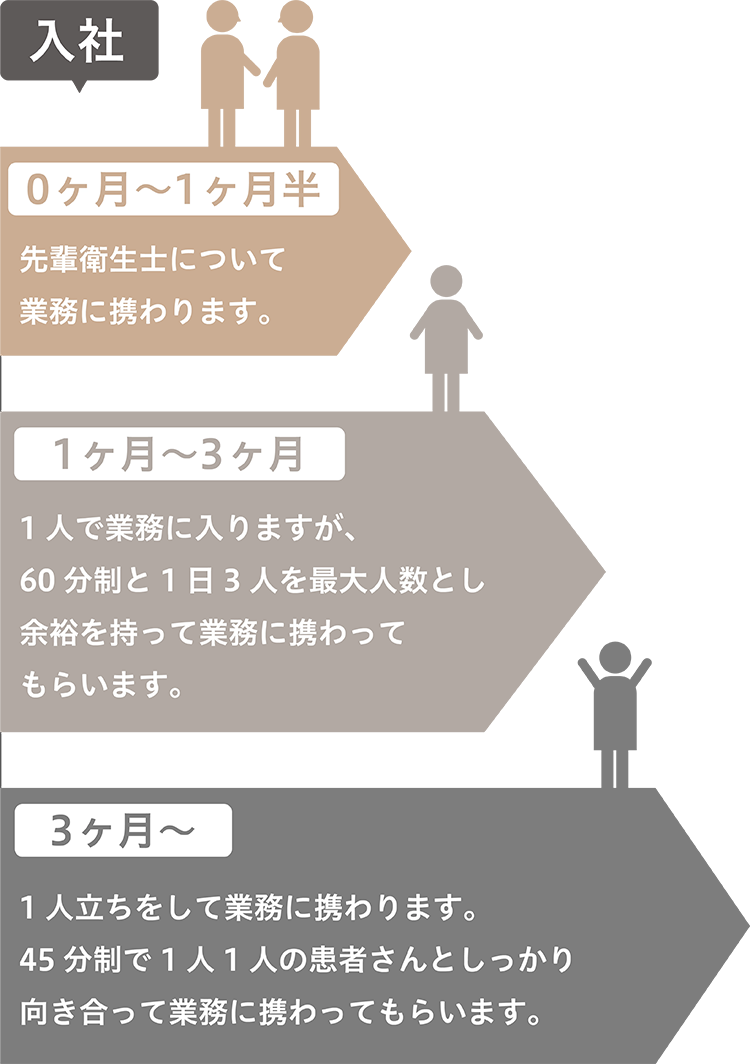 勤務開始から　入社　0ヶ月〜1ヶ月半 先輩衛生士について業務に携わります。1ヶ月〜3ヶ月1人で業務に入りますが、60分制と1日3人を最大人数とし余裕を持って業務に携わってもらいます。3ヶ月〜1人立ちをして業務に携わります。45分制で1人1人の患者さんとしっかり向き合って業務に携わってもらいます。